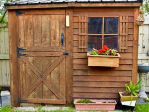 Using Trellises and Planters to Enhance the Aesthetics Around Your Shed